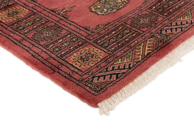 Pakistan Buchara 3Ply - 3