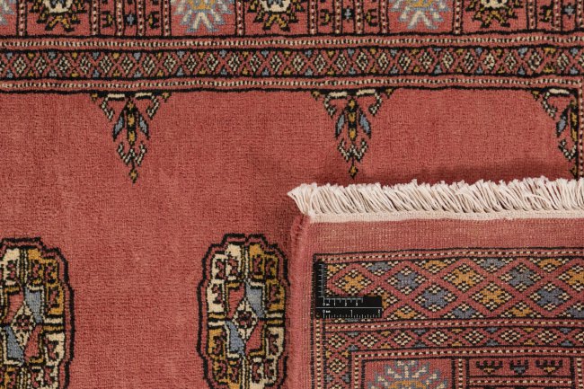 Pakistański Buchara 3Ply - 1