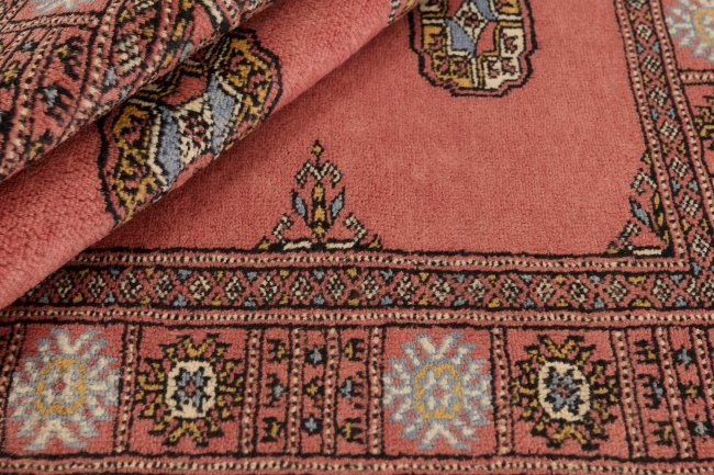 Pakistański Buchara 3Ply - 2