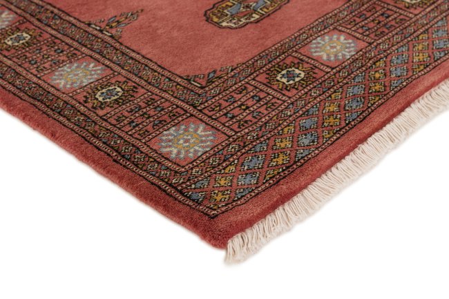 Pakistański Buchara 3Ply - 3