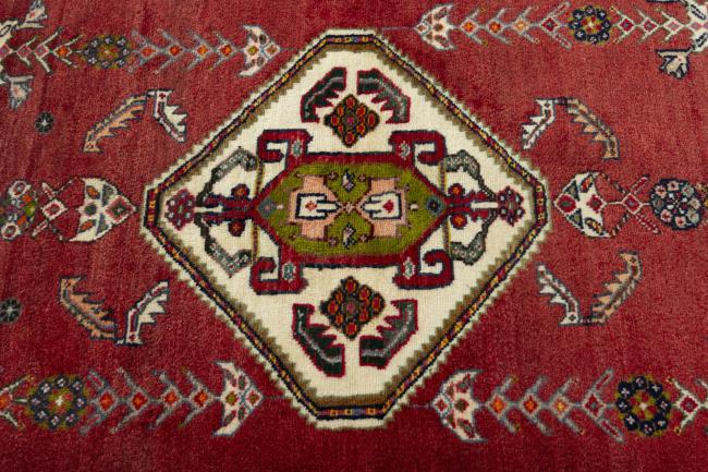 Shiraz - 5
