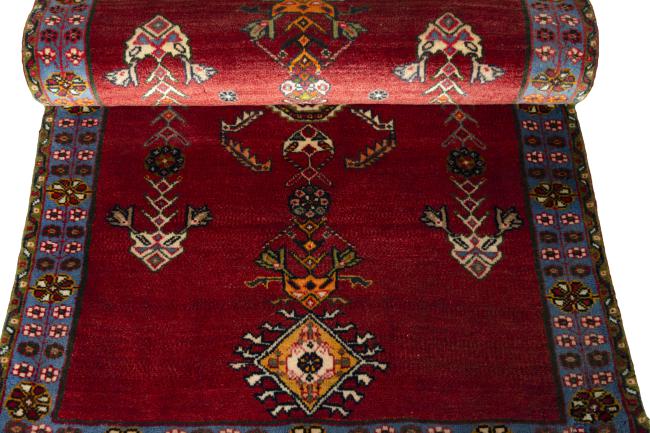 Shiraz - 8