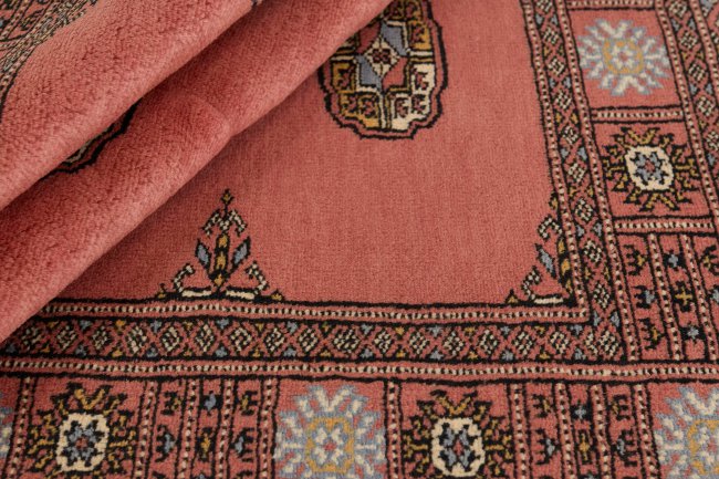 Pakistan Buchara 3Ply - 2