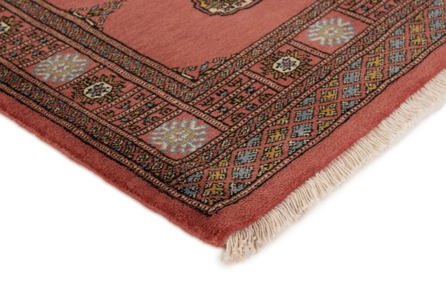 Pakistan Buchara 3Ply - 3