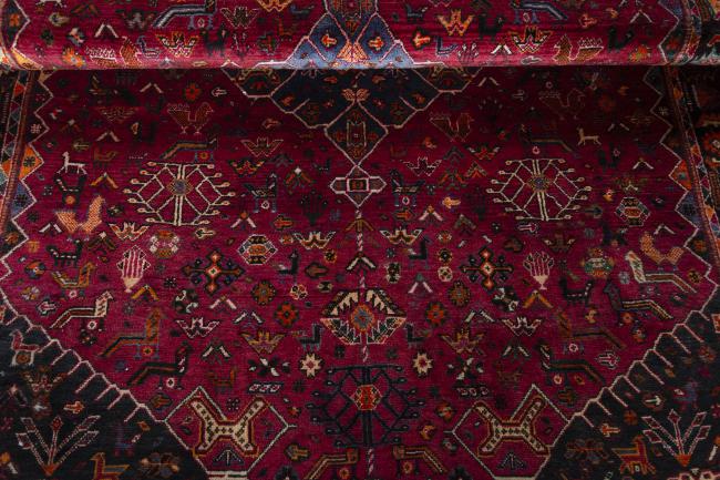 Shiraz - 8