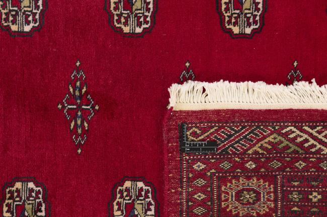Pakistan Buchara 2ply - 1