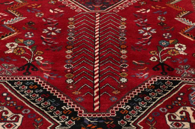 Shiraz - 2