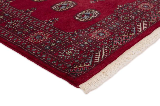 Pakistan Buchara 2ply - 3