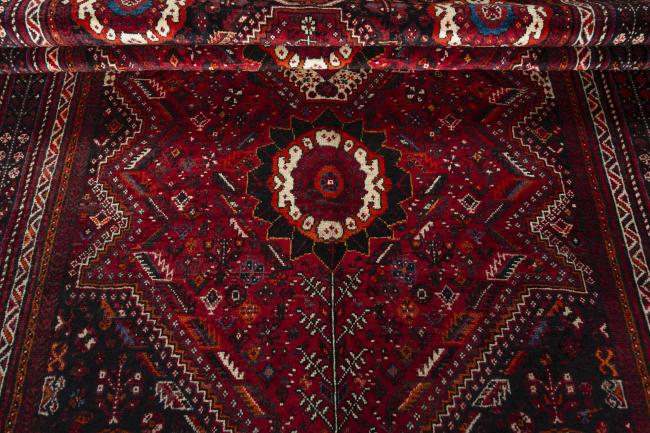 Shiraz - 6