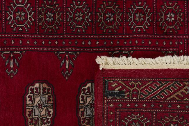Pakistan Buchara 3ply - 1