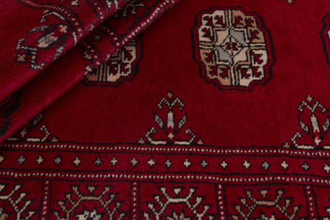 Pakistan Buchara 3ply - 2