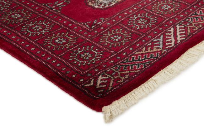 Pakistan Buchara 3ply - 3
