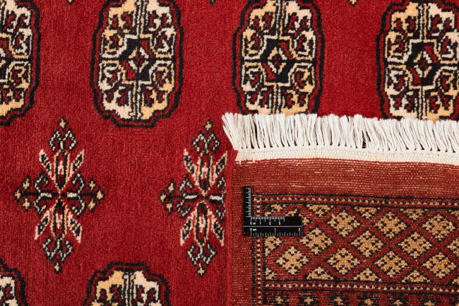 Pakistan Buchara 2ply - 1