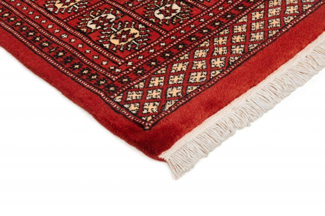Pakistan Buchara 2ply - 3