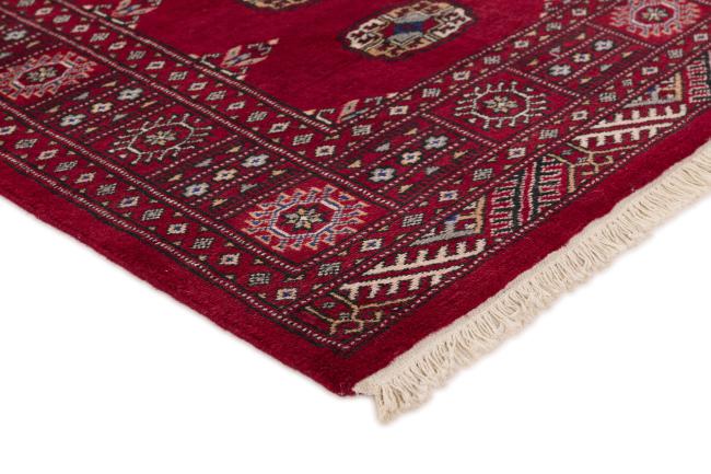 Pakistan Buchara 2ply - 3