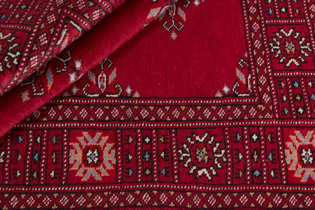 Pakistan Buchara 3Ply - 2
