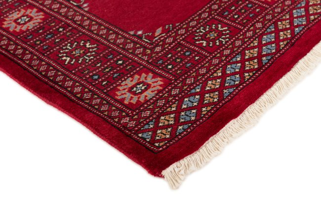 Pakistan Buchara 3Ply - 3