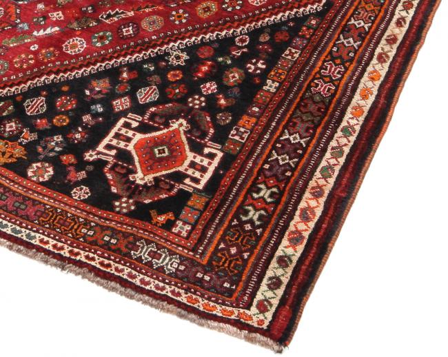 Shiraz - 4