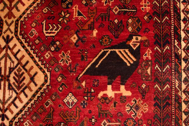 Shiraz - 3