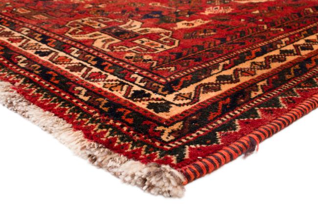Shiraz - 5