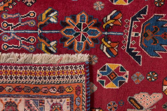 Shiraz - 6