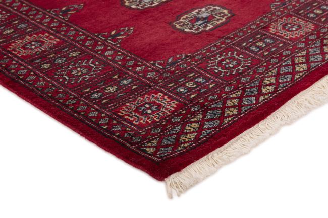 Pakistan Buchara 2ply - 3