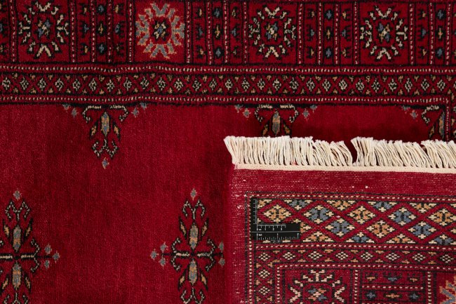 Pakistan Buchara 3Ply - 1