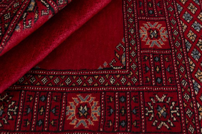 Pakistan Buchara 3Ply - 2