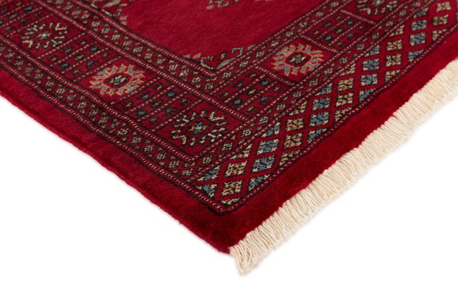 Pakistan Buchara 3Ply - 3