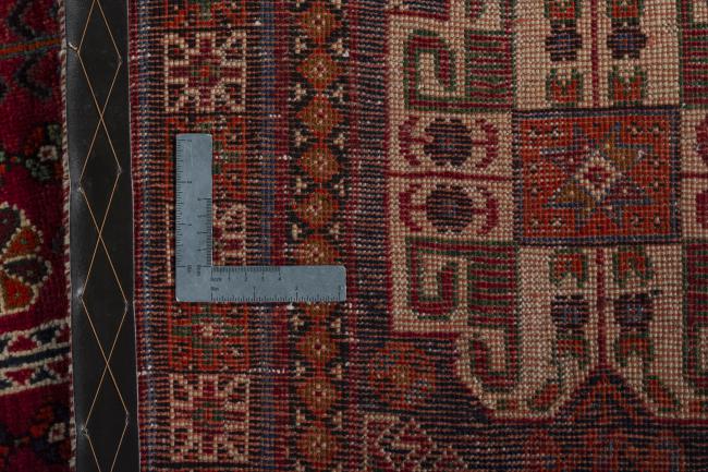 Shiraz - 11