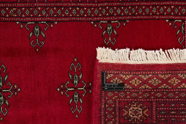 Pakistan Buchara 3Ply - 1