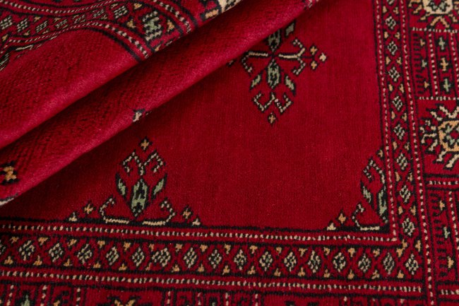 Pakistan Buchara 3Ply - 2