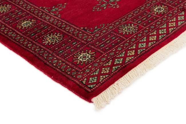 Pakistan Buchara 3Ply - 3