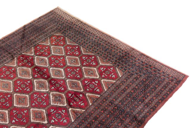 Pakistan Bukhara 3ply - 3