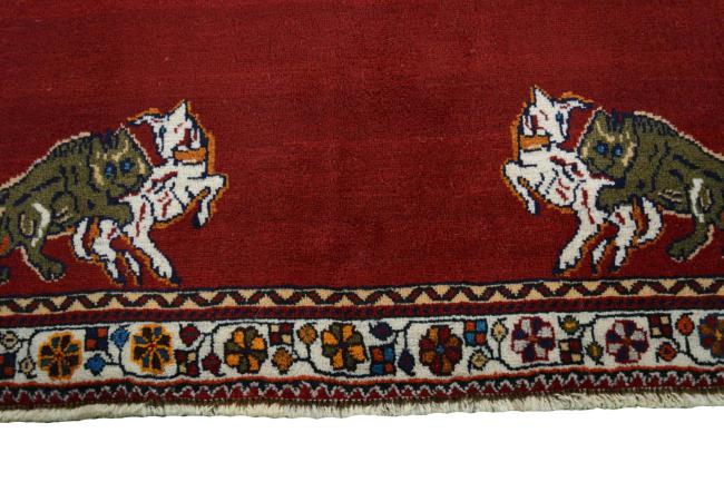 Shiraz - 6