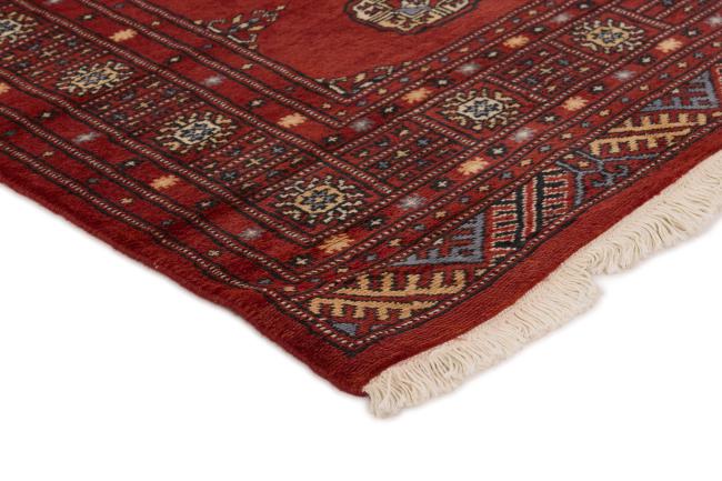 Pakistan Buchara 2ply - 3