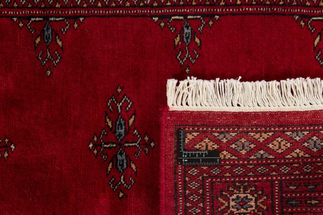 Pakistański Buchara 3Ply - 1