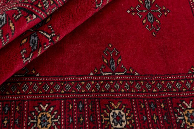 Pakistański Buchara 3Ply - 2