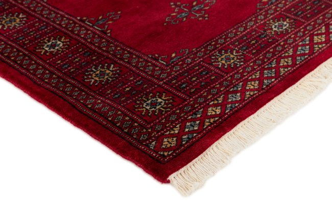 Pakistański Buchara 3Ply - 3