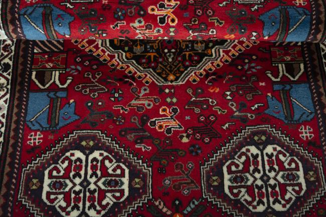 Shiraz - 8