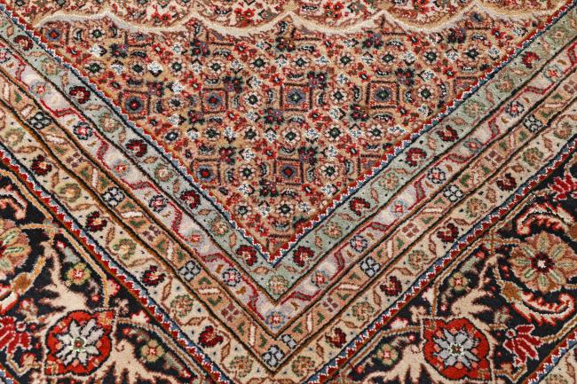 Tabriz Mahi - 7