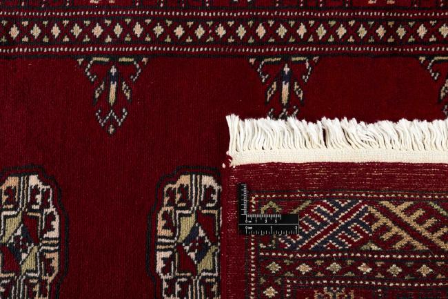 Pakistan Buchara 2ply - 1