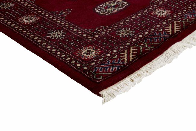 Pakistan Buchara 2ply - 3