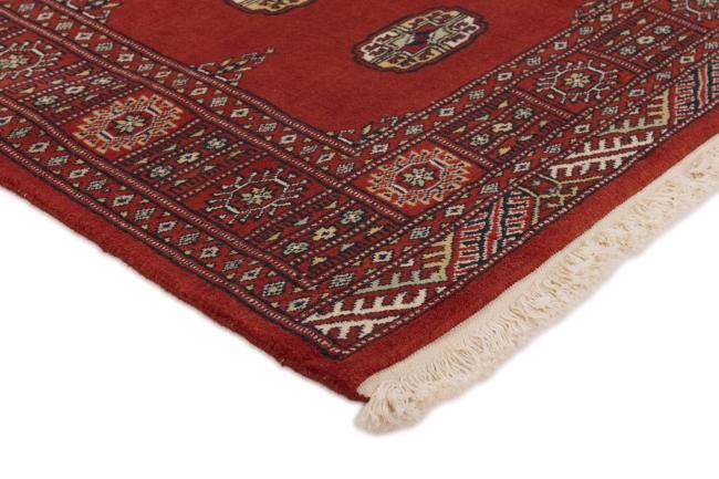 Pakistan Buchara 2ply - 3