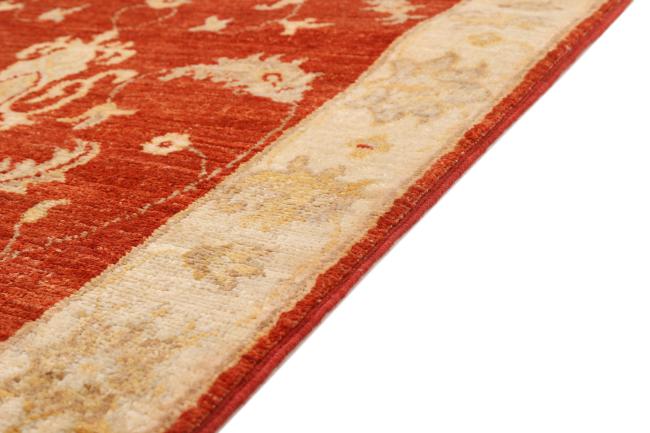 Ziegler Farahan - 5