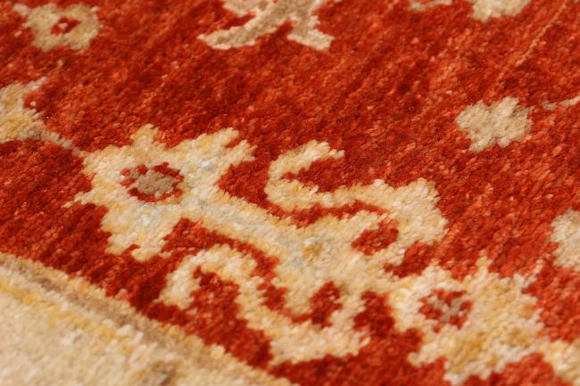 Ziegler Farahan - 8