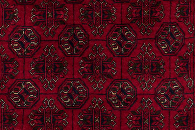 Afghan Mauri - 6
