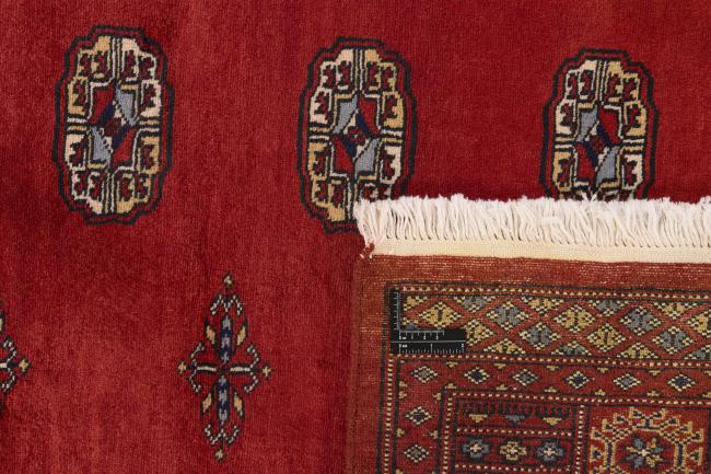 Pakistan Buchara 2ply - 1