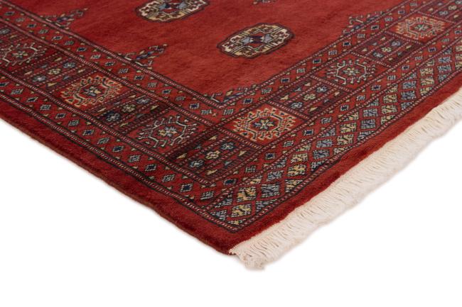 Pakistan Buchara 2ply - 3