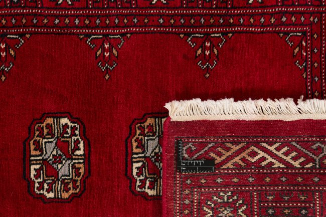 Pakistan Buchara 3Ply - 1